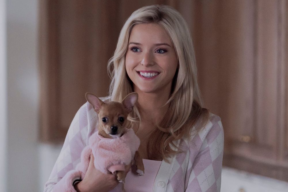Why the ‘Legally Blonde’ Prequel Misses the Mark for Gen‑Z Viewers